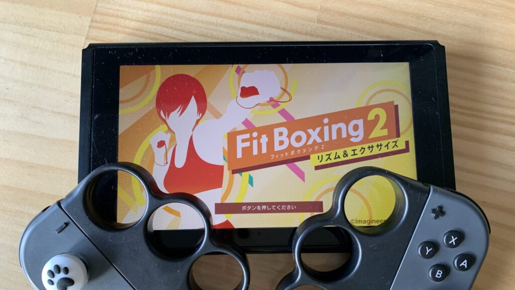 Switch Fit Boxing2