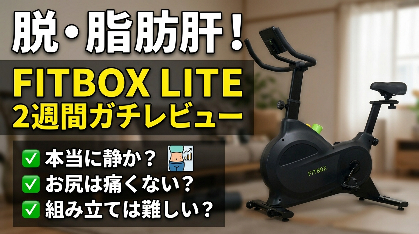 FITBOX LITE 2週間レビュー